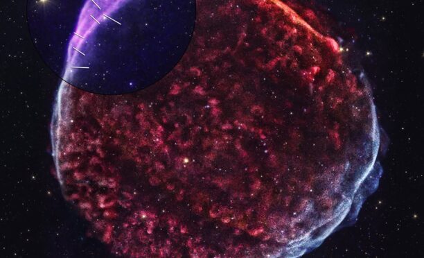SN 1006: Открытие самой яркой Сверхновой в истории